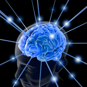 The Blue Lab = Brain Innovation